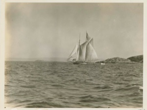 Image of Fishing schooner-homeward bound